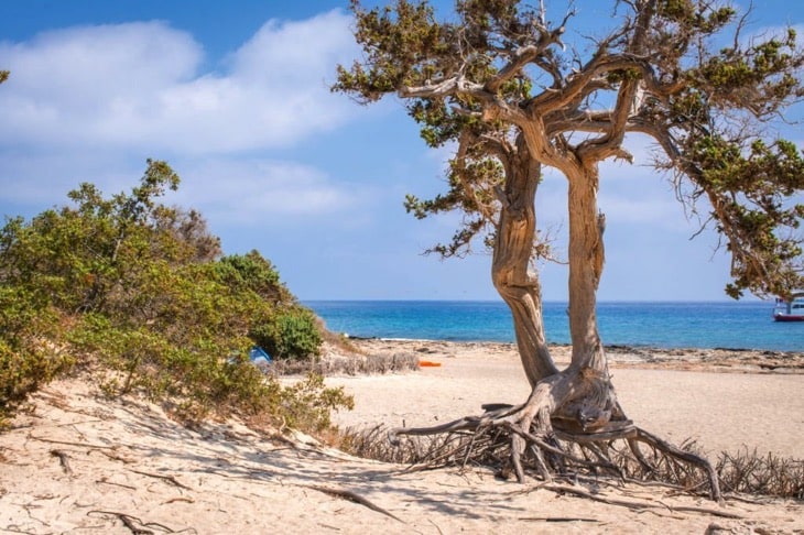 Chrissi island