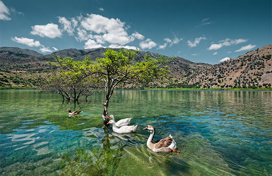 Lake Kourna